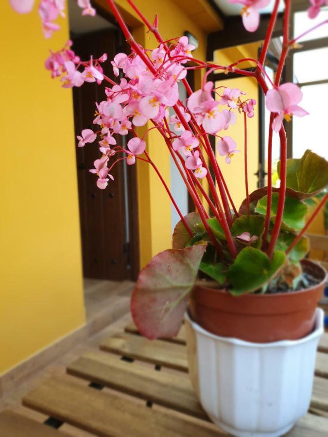 Apartamento Biloña - La Colina Arnuero Exterior foto